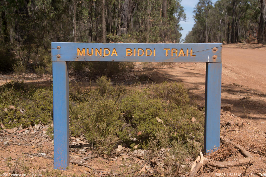 190326 115137 Munda Biddi Trail