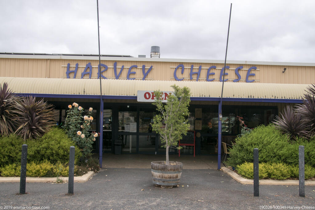 190328 100349 Harvey Cheese