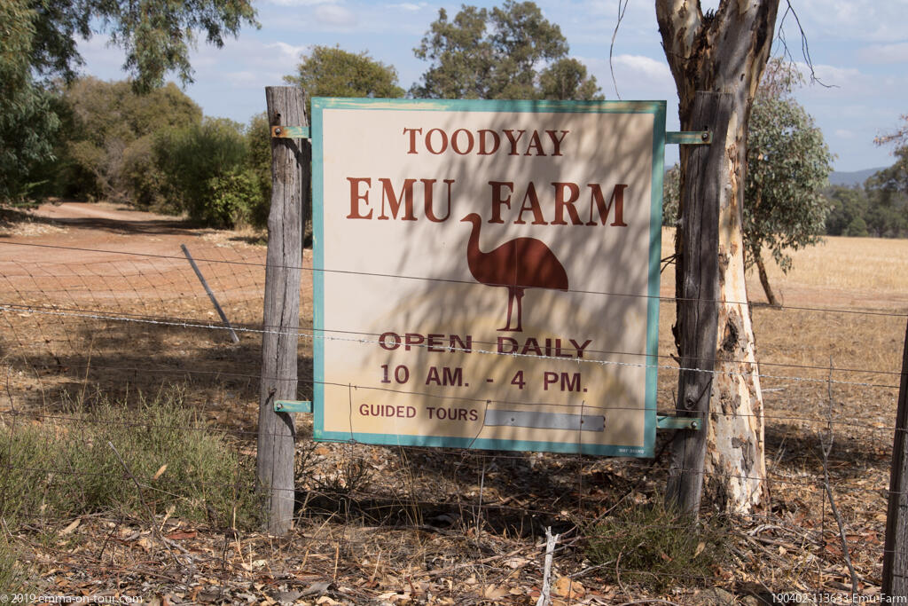 190402 113633 Emu Farm
