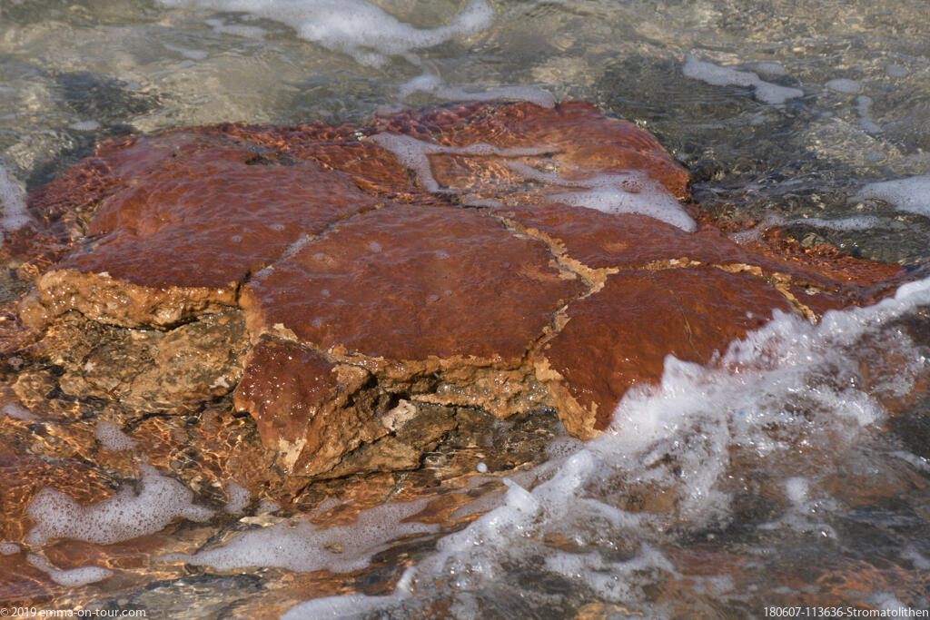 180607 113636 Stromatolithen