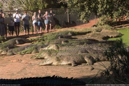 180717 151356 Malcolm Douglas Wilderness Wildlife Park