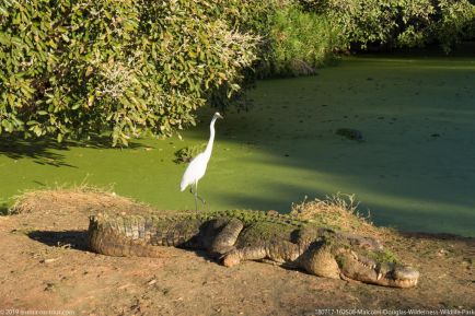 180717 162508 Malcolm Douglas Wilderness Wildlife Park