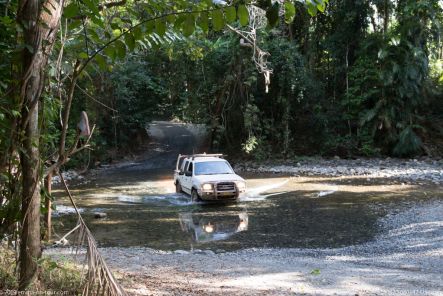 180920 080142 Daintree