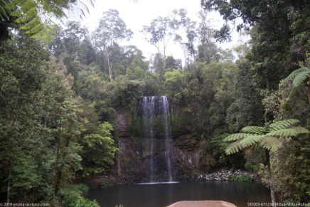 181003 075238 Millaa Millaa Falls 2