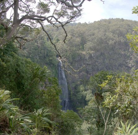 181105 091842 Lamington National Park