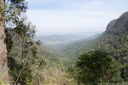 181105 093307 Lamington National Park