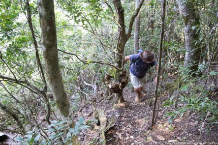 181105 105039 Lamington National Park