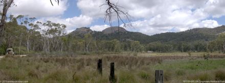 181109 095224 Girraween National Park