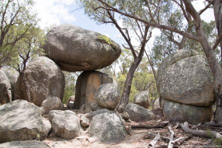 181109 103708 Girraween National Park