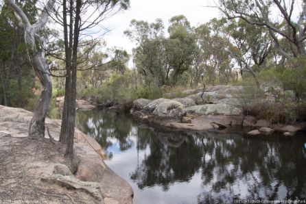 181109 110608 Girraween National Park