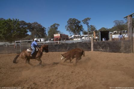 181111 082359 Campdraft Ebor