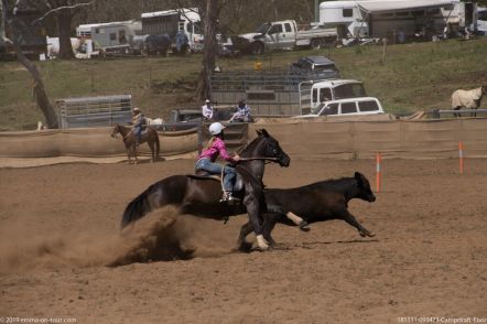 181111 093423 Campdraft Ebor