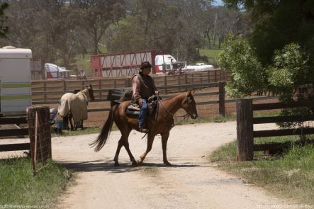 181111 100902 Campdraft Ebor