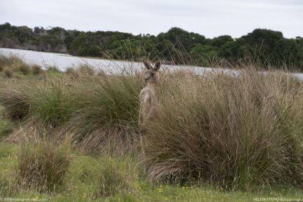 181218 115743 Narawntapu