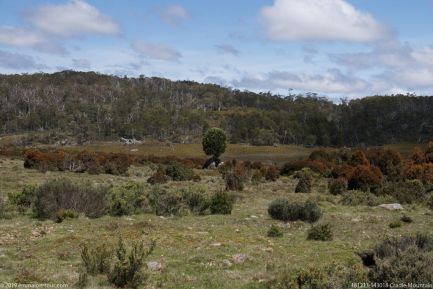 181223 143018 Cradle Mountain