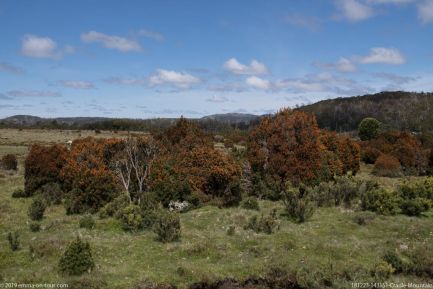 181223 143151 Cradle Mountain