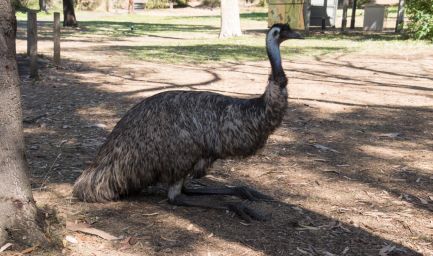 190124 104826 Tower Hill Reserve