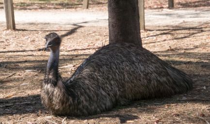 190124 105225 Tower Hill Reserve