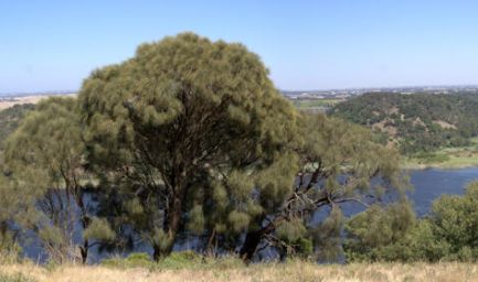 190124 114027 Tower Hill Reserve