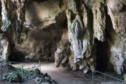 190127 095848 Narracoorte Caves