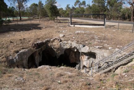 190127 100027 Narracoorte Caves