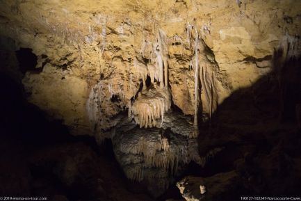 190127 102247 Narracoorte Caves