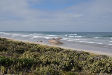 190129 090613 Coorong