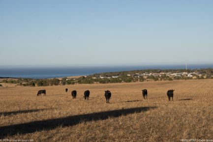 190202 073011 Cape Jervis