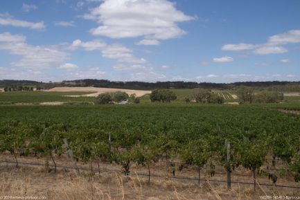 190209 141413 Barossa