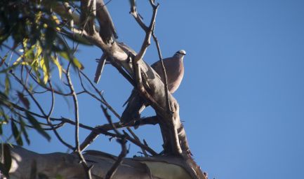 190216 083426 Port Lincoln