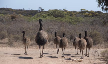 190216 111013 Lincoln NP