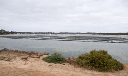 190218 110402 Coffin Bay