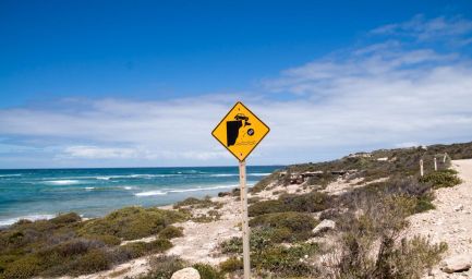 190219 130338 Sheringa Beach