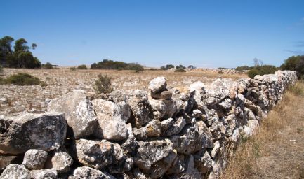 190219 134324 Drystone Walling