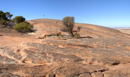 190221 103047 Mount Wudinna