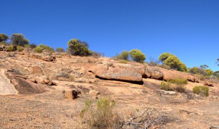 190221 104819 Mount Wudinna