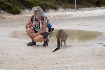 190228 091930 Lucky Bay