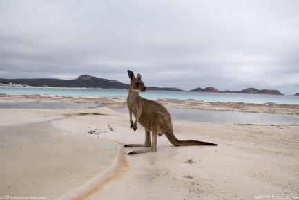 190228 091958 Lucky Bay