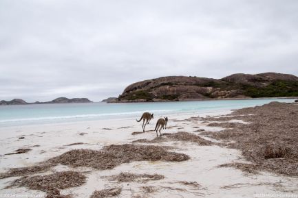 190228 092651 Lucky Bay