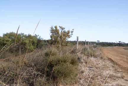 190302 082825 Rabit Proof Fence