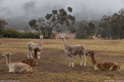 190307 091601 Porongurup