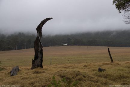 190307 093530 Porongurup