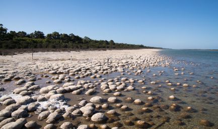 190329 090510 Lake Clifton