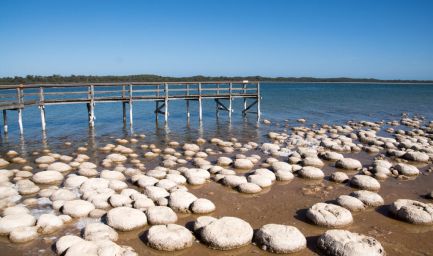 190329 090543 Lake Clifton