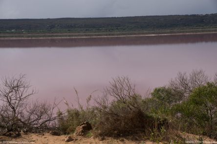 180606 122913 Pink Lake