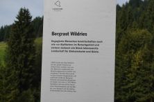 231010 132031 Rindberg jpg